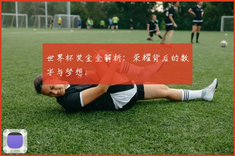 世界杯奖金全解析：荣耀背后的数字与梦想。