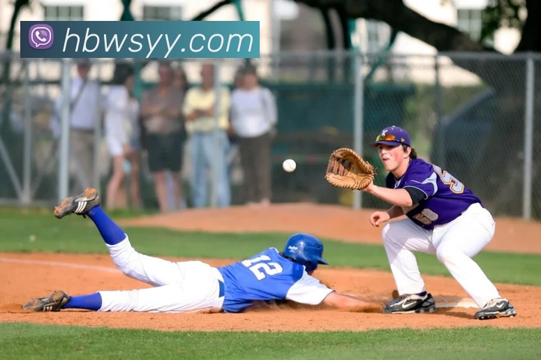 奖项证书